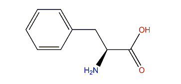 (S)-2-Amino-3-phenylpropanoic acid