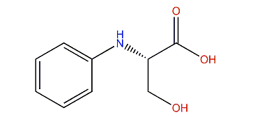 (2S)-2-Anilino-3-hydroxypropanoic acid