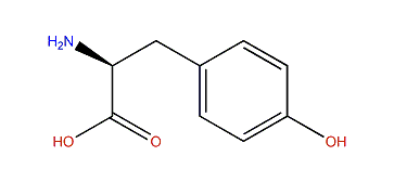 (S)-2-Amino-3-(4-hydroxyphenyl)-propanoic acid