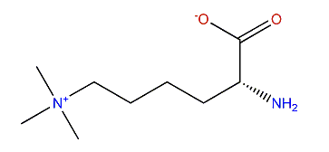 2-Amino-6-(trimethylazaniumyl)-hexanoate