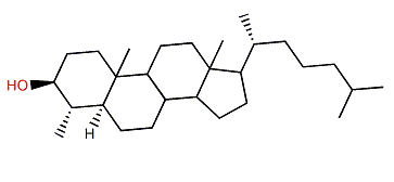 4a-Methyl-5a-cholestane-3b-ol