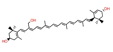 beta,epsilon-Carotene-3,3',19-triol