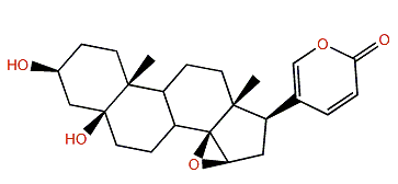 3b,5b-Hydroxy-14,15b-epoxybufa-20,22-dienolide