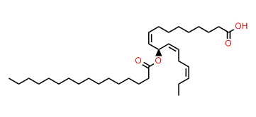 (11S,Z,Z,Z)-11-Hexadecanoyloxyoctadeca-9,12,15-trienoic acid