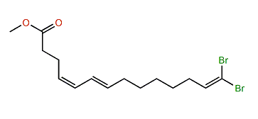 Methyl (Z,E)-14,14-dibromo-4,6,13-tetradecatrienoate