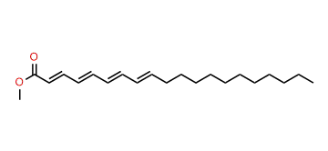 Methyl 2,4,6,8-eicosatetraenoate