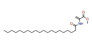 Methyl 2-(eicosanamido)-acrylate