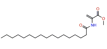 Methyl 2-(heptadecanamido)-acrylate