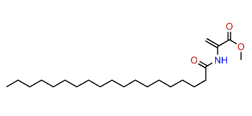 Methyl 2-(nonadecanamido)-acrylate