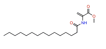 Methyl 2-(pentadecanamido)-acrylate