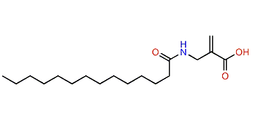 Methyl 2-(tetradecanamido)-acrylate