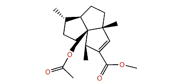 Methyl 2b-acetoxysubergorgate