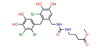 Methyl N'-[3-bromo-2-(2,3-dibromo-4,5-dihydroxybenzyl)-4,5-dihydroxybenzyl]-g-ureidobutyrate