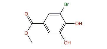 Methyl 3-bromo-4,5-dihydroxybenzoate