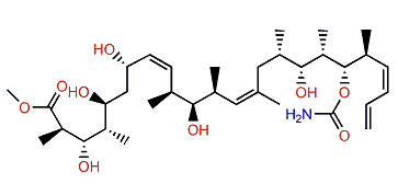 5-Hydroxymethyldiscodermolate