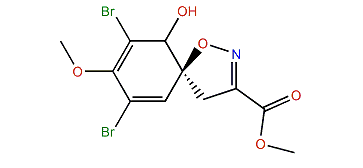 Methyl (5S,6R)-7,9-Dibromo-10-hydroxy-8-methoxy-1-oxa-2-azaspiro[4,5]deca-2,6,8-triene-3-carboxylate