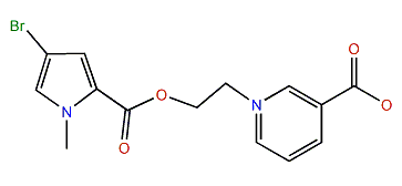N-Methylagelongine