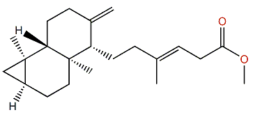 Methylcycloanticopalate