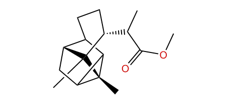 Methyl cyclocopacamphanoate