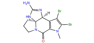 N-Methyldibromoisophakellin
