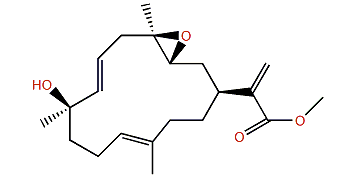 Methyl uproeuniolate