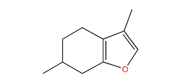 4,5,6,7-Tetrahydro-3,6-dimethylbenzofuran