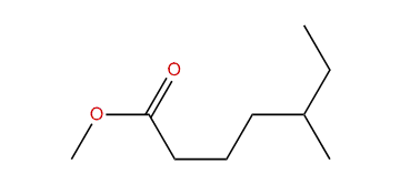 Methyl-5-methylheptanoate