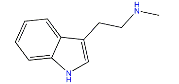 N-Methyl-1H-indole-3-ethanamine