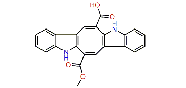 Monomethyl caulerpinate