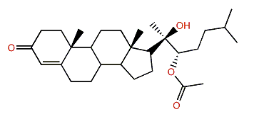 (20R,22R)-22-(Acetyloxy)-20-hydroxycholest-4-en-3-one