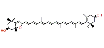 5,8-Epoxy-5,8-dihydro-beta,beta-carotene-3,3'-diol