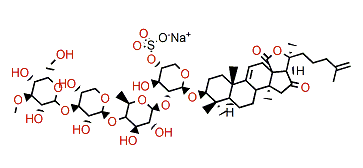 Neothyonidioside