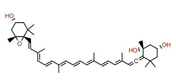6,7-Didehydro-5,5',6,6'-tetrahydro-5',6'-epoxy-beta,beta-carotene-3,3',5-triol