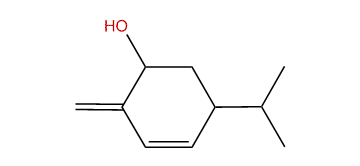 p-Mentha-1(7),2-dien-6-ol