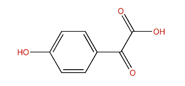 2-(4-Hydroxyphenyl)-2-oxoacetic acid