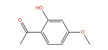 1-(2-Hydroxy-4-methoxyphenyl)-ethanone