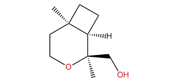(1R,2S,6R)-2-Hydroxymethyl-2,6-dimethyl-3-oxabicyclo[4.2.0]octane