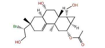 15-Bromo-2-acetoxy-7,16,19-trihydroxy-9(11)-parguerene