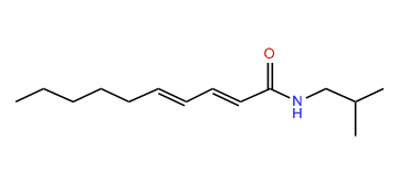 (E,E)-N-Isobutyl-2,4-decadienamide