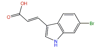 (E)-3-(6-Bromo-1H-indol-3-yl)-2-propenoic acid