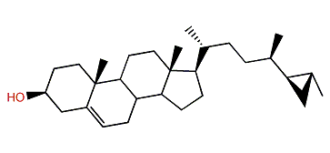 Petrosterol