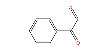 2-oxo-2-Phenylacetaldehyde