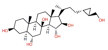 Phrygiasterol