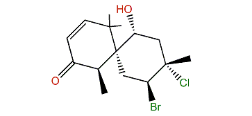 Pinnatifinone