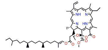 Porphyrinolactone