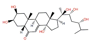 Pterosterone