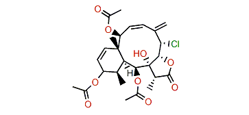 Ptilosarcen-12-acetate