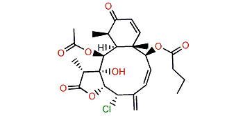 Ptilosarcen-12-butanoate