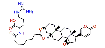3-(N-Suberoyl argininyl)-resibufogenin
