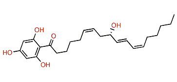 Retroflexanone